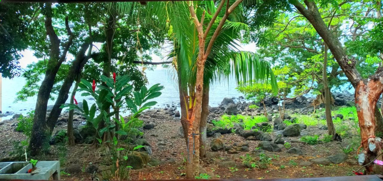 Balgue Rocks Beach المظهر الخارجي الصورة